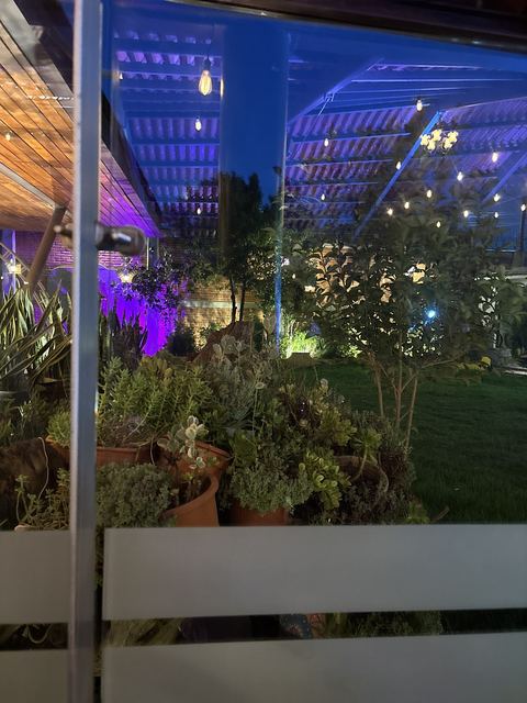Vegetación del jardín iluminada al atardecer junto a la barandilla blanca del salón